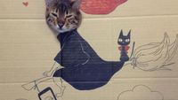 Kreatif! Ketika Si Kucing Cosplay Pakai Kardus
