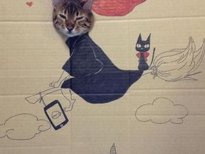 Kreatif! Ketika Si Kucing Cosplay Pakai Kardus Kreatif! Ketika Si Kucing Cosplay Pakai Kardus