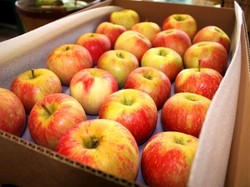 7 Camilan Saat Diet yang Bantu Turunkan Berat Badan, Enak-enak!