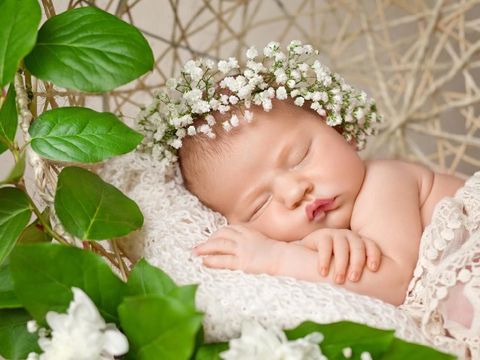 Little newborn girl 11 days, sleeps. Beautiful newborn girl and flowers
