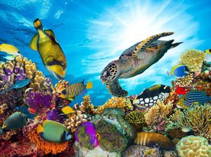 Ini Aktivitas Terbaik di 10 Destinasi Paling Sip Dunia, No 2 Bali Ini Aktivitas Terbaik di 10 Destinasi Paling Sip Dunia, No 2 Bali