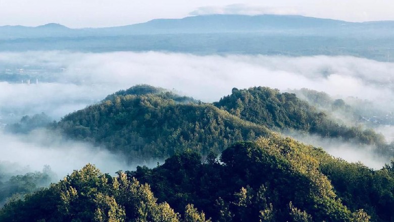 Bukit Instagramable Di Dompu, Ibarat Ada Di Atas Awan