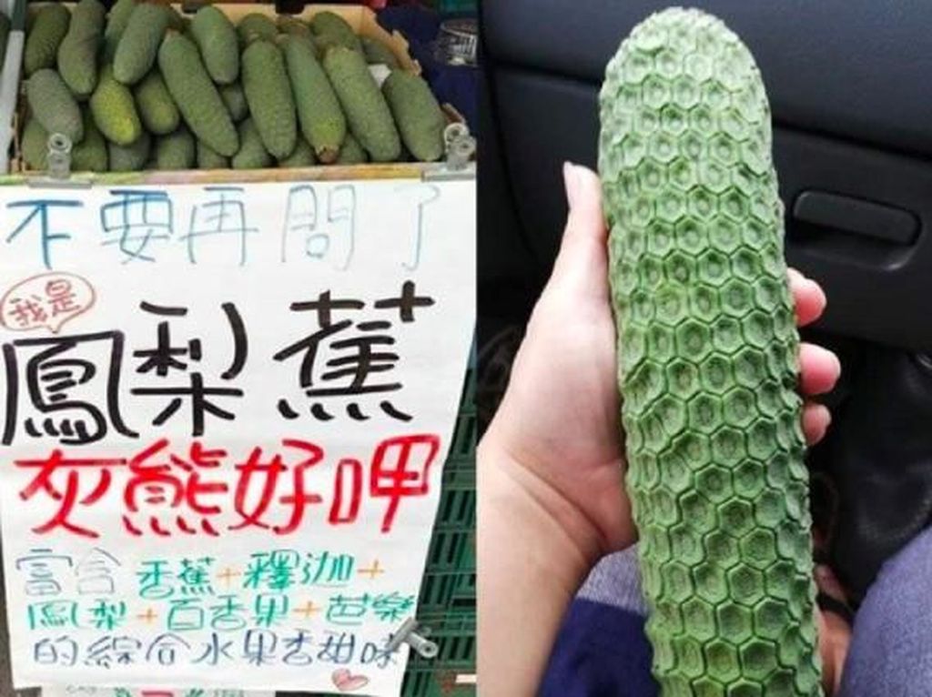 Mirip Nanas dan Pisang, Buah Misterius Ini Tengah Viral Mirip Nanas dan Pisang, Buah Misterius Ini Tengah Viral