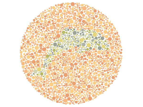 Tes Buta Warna Edisi Kalimantan Timur, Bisa Lihat Ikon Ibu Kota Baru?