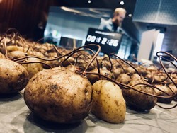 Bisa Jadi Berlian hingga Tes Sinyal WiFi, Ini 7 Fakta Menarik Soal Makanan