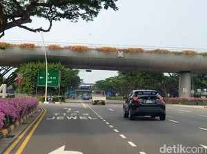 Izin Pakai Mobil Tua, Warga Singapura Harus Bayar Rp 300 Juta