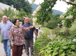 Kunjungi Taman Kota di Korsel, Mega Sarankan RI Perbanyak Kebun Raya