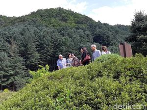 Megawati Nikmati Keindahan The Garden of Morning Calm di Korsel