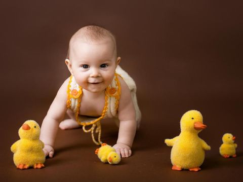 Little baby boy, playing with decorative ducks, isolated on brown background, easter fun