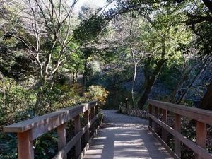 Kenangan mengunjungi Tokyo, Jepang