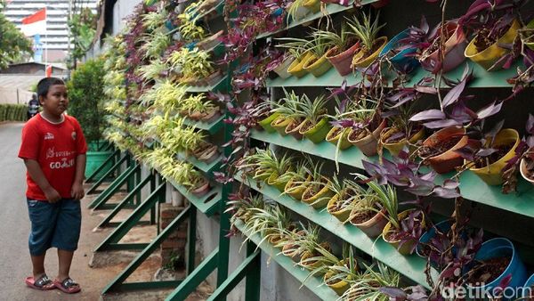 Solusi Terbatasnya Lahan Hijau lewat Taman Vertikal