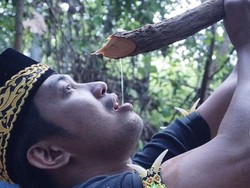 Momen Makan Bupati Penajam Hingga Rahasia Pola Makan Orang Korea