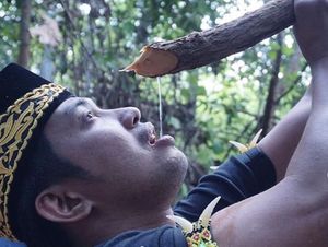 Momen Makan Bupati Penajam Hingga Rahasia Pola Makan Orang Korea Momen Makan Bupati Penajam Hingga Rahasia Pola Makan Orang Korea
