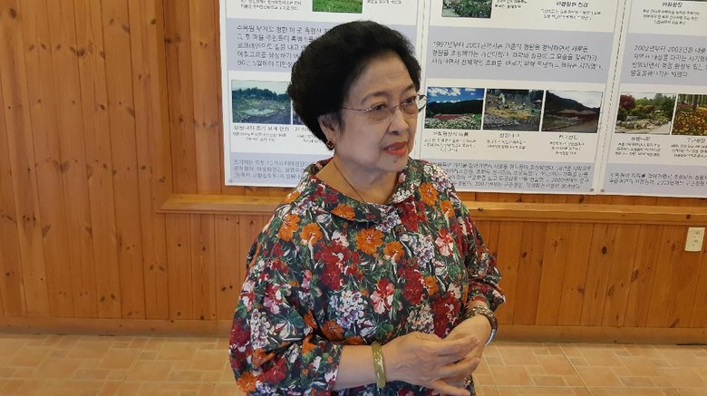 Megawati: Kebakaran Hutan Harus Ditangani Serius untuk Jangka Panjang