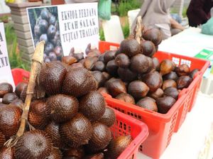 Salak Deli Serdang Bakal Diekspor ke Thailand