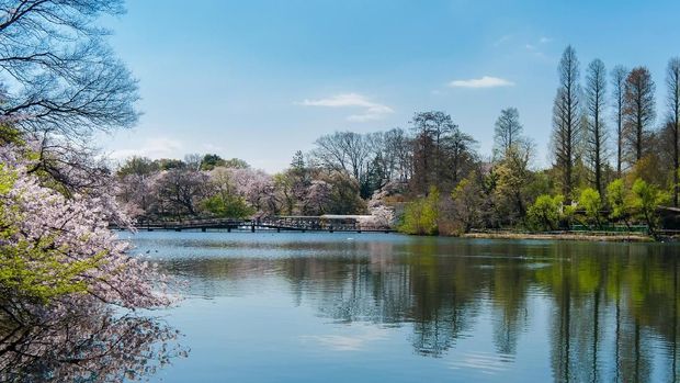 6 Pilihan Tempat Wisata bersama Anak di Jepang