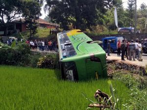 Bus Terguling Masuk Sawah di Cianjur, 3 Orang Patah Tulang Bus Terguling Masuk Sawah di Cianjur, 3 Orang Patah Tulang