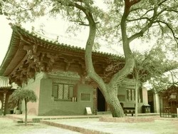 Vihara Ini Berusia Lebih dari 1.000 Tahun, Tahu?