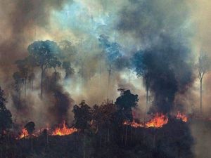 Brasil Bersedia Terima Bantuan Rp 315 M dari G7 Jika Macron Minta Maaf Brasil Bersedia Terima Bantuan Rp 315 M dari G7 Jika Macron Minta Maaf