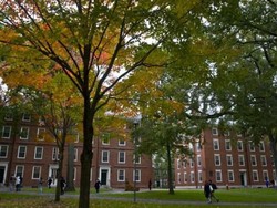 Mengenal Program Future Doctors: Siswa Bisa Belajar Medis dari Sarjana Harvard