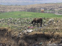 Melihat Kemunculan Pulau Sampah Saat Sungai Citarum Mengering