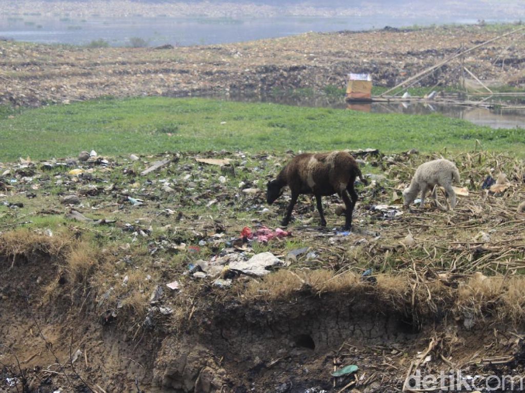 Melihat Kemunculan Pulau Sampah Saat Sungai Citarum Mengering Melihat Kemunculan Pulau Sampah Saat Sungai Citarum Mengering