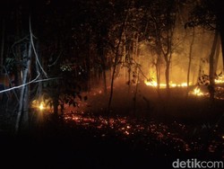 BPBD: 10 Hektare Lahan Perhutani di Alas Kethu Wonogiri Terbakar