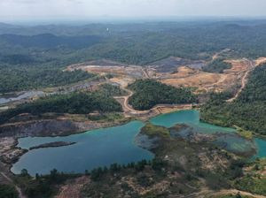 Begini Kondisi Lingkungan di Lokasi Calon Ibu Kota Baru Begini Kondisi Lingkungan di Lokasi Calon Ibu Kota Baru