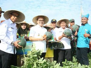 Panen Raya Semangka, Bupati Anas Ajak Petani Garap Produk Turunan