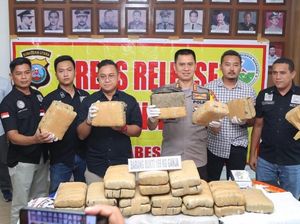 Polrestabes Medan Sita 169 Kg Ganja yang Diselundupkan dari Aceh
