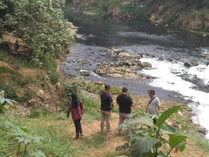 Sungai Cileungsi Tercemar, Ikan-ikan Mati Tergelepar