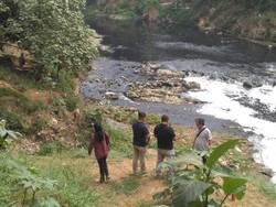 Sungai Cileungsi Tercemar, Ikan-ikan Mati Tergelepar