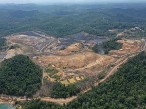 Material Impor Ancam Ibu Kota Baru, Ini Langkah Pemerintah Material Impor Ancam Ibu Kota Baru, Ini Langkah Pemerintah