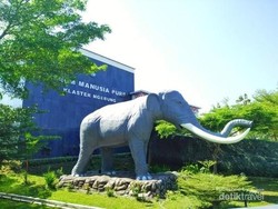 Sangiran Punya 5 Museum yang Bisa Kamu Kunjungi dalam Sehari