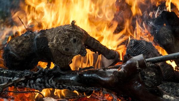 Ratusan Satwa Awetan Dimusnahkan di Kebun Binatang Bandung