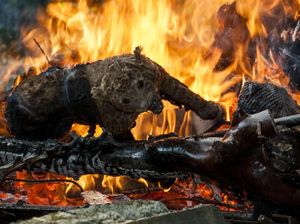 Ratusan Satwa Awetan Dimusnahkan di Kebun Binatang Bandung