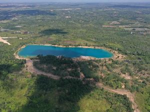 Ibu Kota Baru Bakal Lahap Kawasan Konservasi, Rusak Lingkungan?