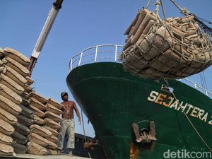 Melihat Aktivitas Bongkar Muat Semen di Pelabuhan Sunda Kelapa