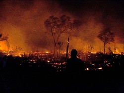 Peneliti Harvard Pantau Kebakaran Hutan Amazon Pakai Drone