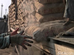 Buat yang Lagi Renovasi Rumah, Nih Daftar Harga Semen Terbaru 2023