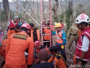 Warga Bantul Tewas Tersengat Listrik saat Pangkas Dahan Pohon