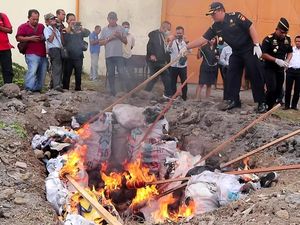 Bea-Cukai Belawan Musnahkan Ribuan Batang Rokok dan Minuman Alkohol