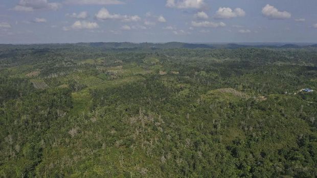 Penajam Paser Utara, Kalimantan Timur, Rabu (28/8), yang merupakan calon ibu kota baru.