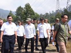 Ke Situ Cisanti, Luhut Tanam dan Tinjau Penyemaian Pohon Macadamia