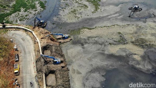 Begini Kondisi Waduk Pluit yang Alami Pendangkalan