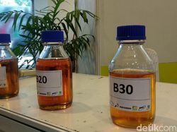 Studi LPEM FEB UI Ingatkan Risiko Ekonomi-Lingkungan Kebijakan Biodiesel