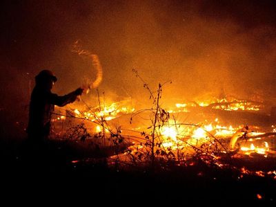 Kebakaran Hebat di Hutan Amazon Menjalar Hingga Bolivia