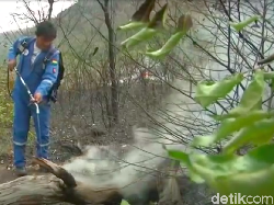 Video Aksi Presiden Bolivia Nyemprot Api Padamkan Kebakaran Hutan