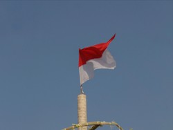 Panjat Pinang Bukan Panjat Sosial