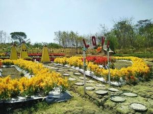 Sangiran Punya Kebun Bunga Secantik Ini